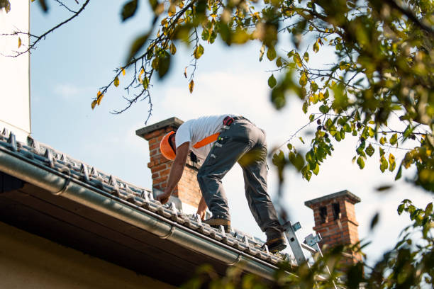 Best Commercial Roofing Services  in Flat Rock, MI