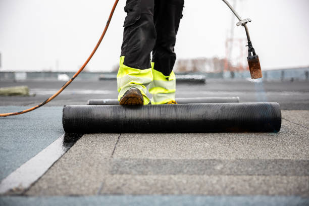 Best Asphalt Shingles Roofing  in Flat Rock, MI